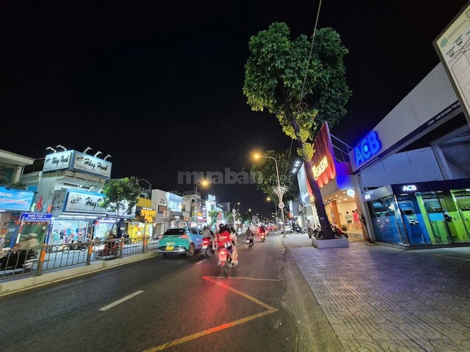 Bán nhà Quang Trung, Gò Vấp, 1.250m² full thổ cư, HĐT 400 Tr/Th