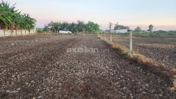 đất thổ cư 2.400m² sát ql50, giá gấp chỉ 3 triệu/m², cơ hội hiếm, rẻ