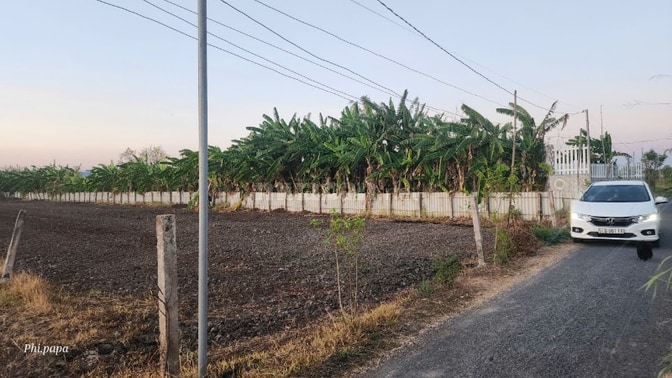 đất thổ cư 2.400m² sát ql50, giá gấp chỉ 3 triệu/m², cơ hội hiếm, rẻ