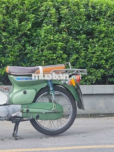 Honda Cub 79 Cánh én đầu hươu Xanh lá