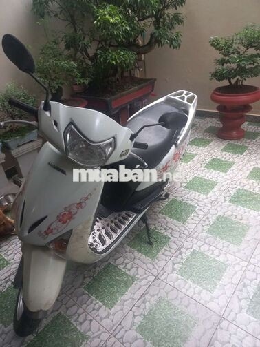 Honda Vision 2025 Trắng