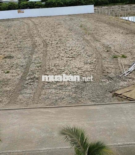 NỀN DIỆN TÍCH LỚN GIÁ TỐT – PHƯỜNG TÂN NGÃI GIÁP RANH TT CÁI TÀU HẠ