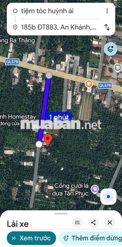 Đất vườn bưởi Châu Thành Bến Tre 2,5 công