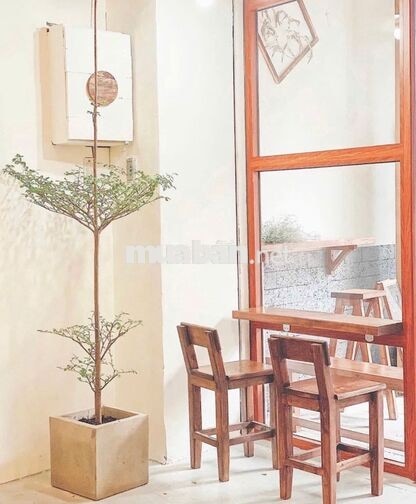 CHO THUÊ NHÀ HXH 351/1 LÊ VĂN SỸ, Q3 – NGANG 5.5M, 7PN, 55TR