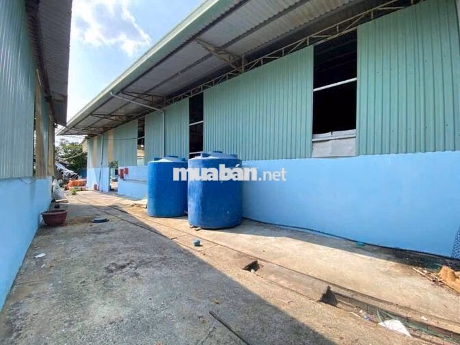 Cần cho thuê kho xưởng  đưỡng XTS .DT 1000m2.xe container.giá 43 triệu