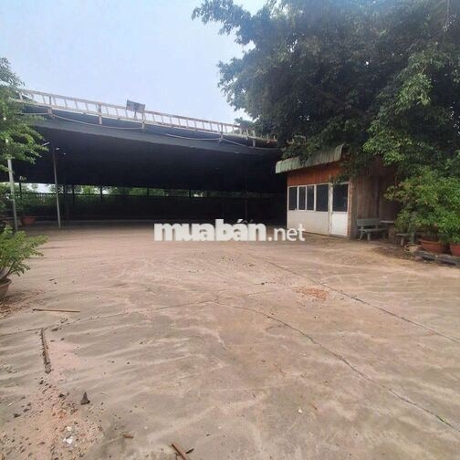 CHO THUÊ KHO XƯỞNG 1100M² GIÁ 40TR