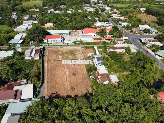 Bán đất 1 xẹt QL13 mặt tiền Kinh Doanh tốt. Ngay Cty trường học.