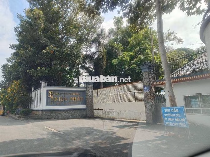 Bán đất 1 xẹt QL13 mặt tiền Kinh Doanh tốt. Ngay Cty trường học.