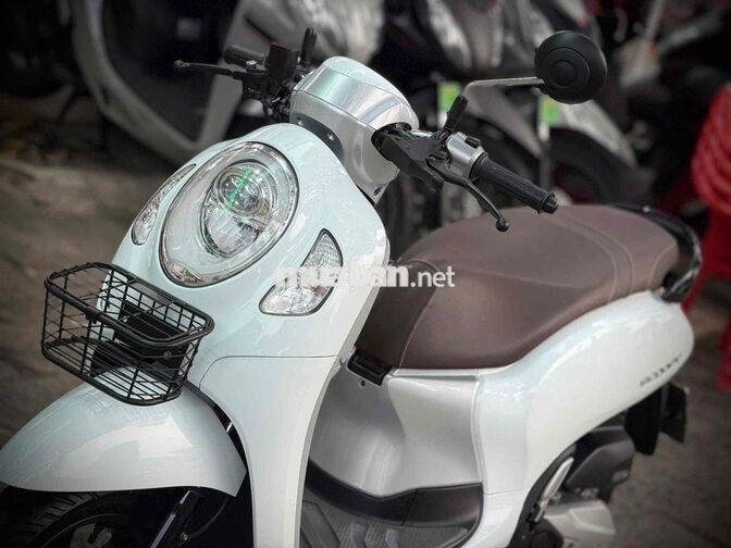 Honda Scoopy Smartkey 2024 Trắng