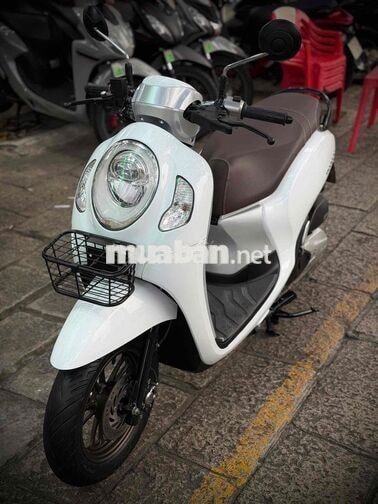 Honda Scoopy Smartkey 2024 Trắng