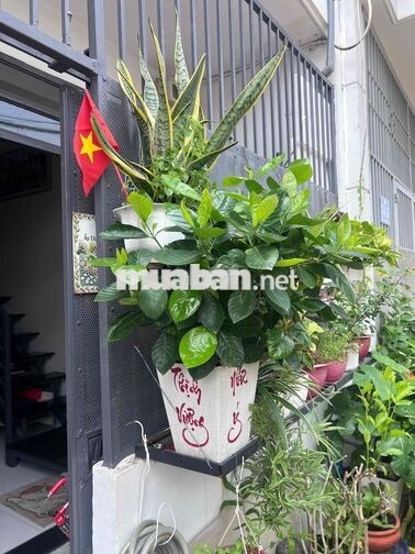 BÁN NHÀ HẺM XE TẢI – ĐÔNG THẠNH, SẮP LÊN PHƯỜNG – SỔ HỒNG RIÊNG