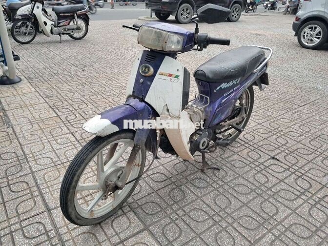Xe số HQ Max 3 Thể thao Tím trắng