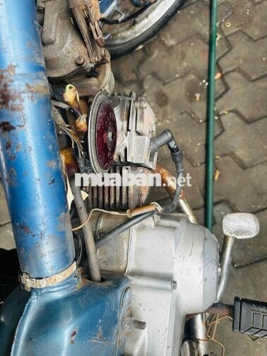 Honda Cub Xanh