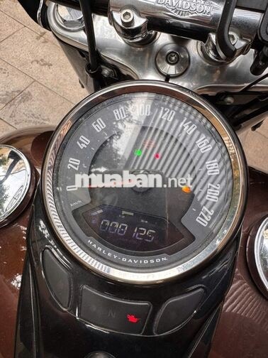 Harley-Davidson Heritage Classic 114 2019 Nâu đen