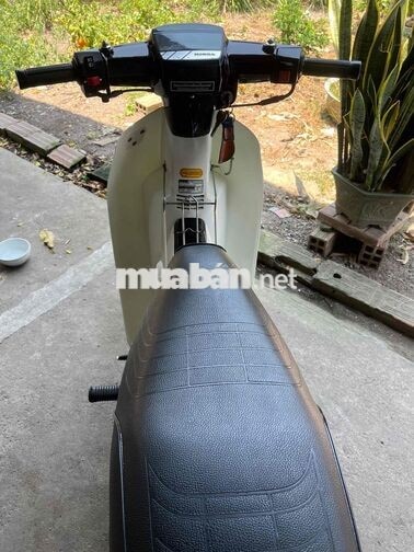 Honda Dream II Nâu, Trắng