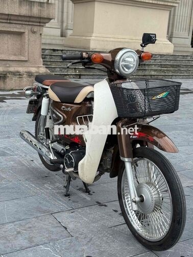 Honda Cub 2023 Nâu Trắng