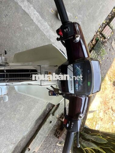 Honda Dream II Nâu, Trắng