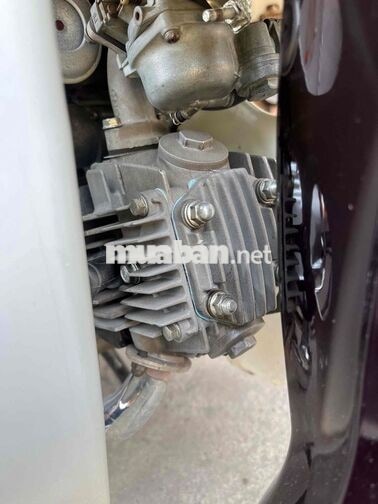 Honda Dream II Nâu, Trắng
