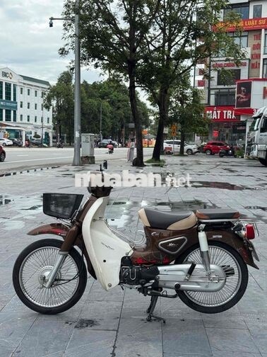 Honda Cub 2023 Nâu Trắng