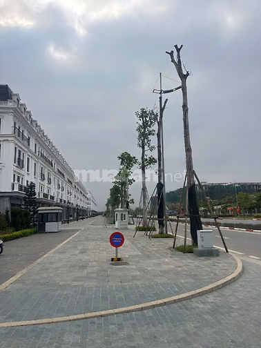 Bán liền kề shophouse mặt đường Tây Thăng Long dự án Avenue Garden.