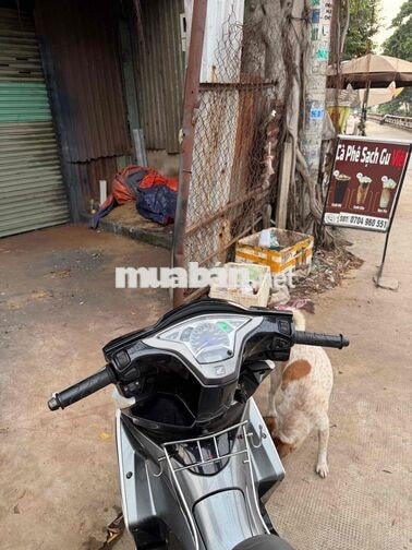 Honda Air Blade 125 2014 Trắng xám Việt Nam