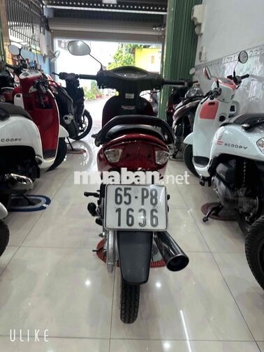Honda Wave Alpha ( ĐỜI 2007 ) BS: 65 Cần Thơ