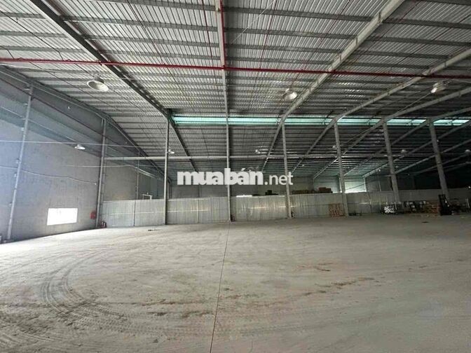 🔴 CHO THUÊ KHO XƯỞNG QUỐC LỘ N2 THẠNH LỢI GIÁP ĐỨC HÒA GIÁ TỐT