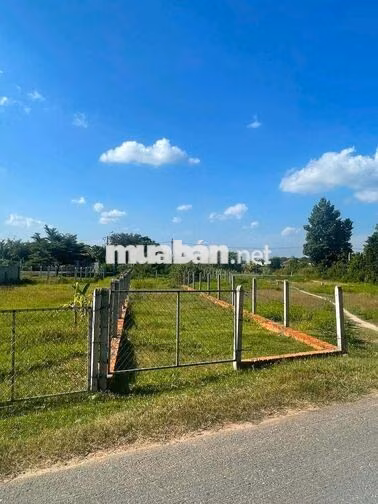 Chủ kẹt tiền bán nhanh đất 140m2 ngay sát KCN Tây Bắc,Củ Chi Giá 825t
