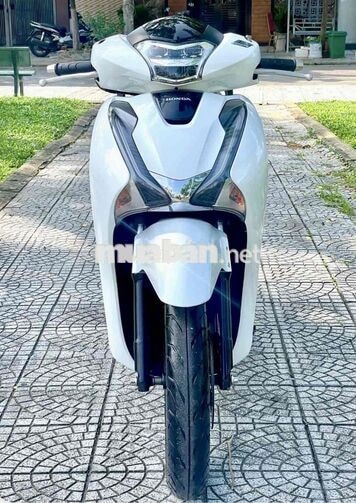 SH150 2017 Trắng biển 43. Bao đậu hồ sơ