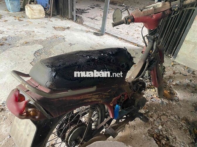 Kawasaki MaxR Đỏ Thể thao