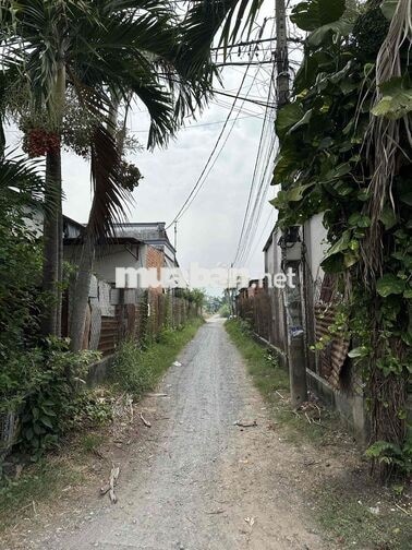 Bán lô đất đường Lê Thị Siêng,cạnh VinHomes Hốc Môn,xã Tân An Hội