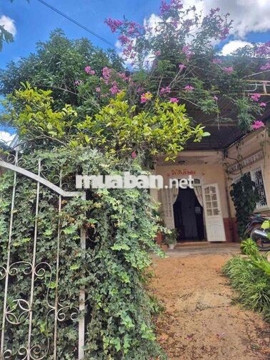 cho thuê nhà nguyên căn đầy đủ tiện nghi