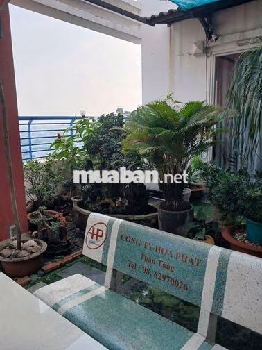 cần bán Penthouse , chung cư Thái An 2