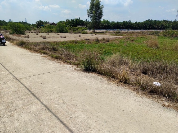 GIÁ MỚI 3,9 TỶ – 1.100M² MẶT TIỀN ĐƯỜNG CÁ SÚC, BÌNH KHÁNH – CẦN GIỜ