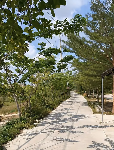 GIÁ MỚI 3,9 TỶ – 1.100M² MẶT TIỀN ĐƯỜNG CÁ SÚC, BÌNH KHÁNH – CẦN GIỜ