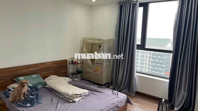 B.ÁN CĂN CHUNG CƯ MỚI X2 ĐẠI KIM 123M2 - 4P NGỦ - 2WC - SỔ ĐỎ - Ở NGAY