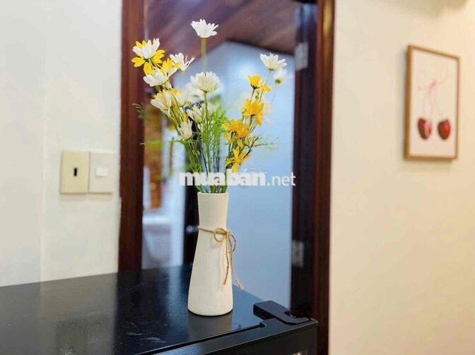 1PN Tách Bếp Có Máy Giặt Riêng - Full Đồ Gỗ- Tô Hiến Thành Q10 Không
