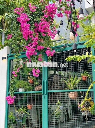 141 ✨ 🏡 CHO THUÊ NHÀ SÂN VƯỜN 2 TẦNG MẶT TIỀN HÓI KIỂNG