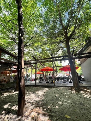 Cho Thuê Nhà 16x31m, DTSD 900m², 1 Trệt 1 Lầu, 57 Xuân Thủy Thảo Điền 