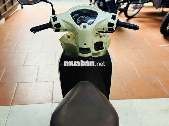 XE MÁY THỊNH PHÁT - VISION 110 VÀNG KEM BIỂN HN 