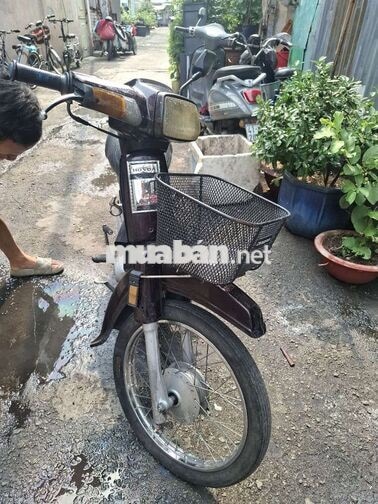 Honda Citi 100 Nâu Đã sử dụng