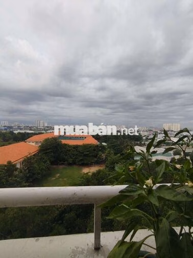 Chủ nhà bán nhanh căn hộ Lê Thành Tân Tạo chỉ 680tr bao phí 