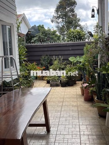 Biệt Thự Mini Phong Cách Tân Tiến