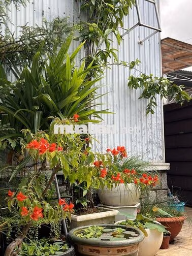 Biệt Thự Mini Phong Cách Tân Tiến
