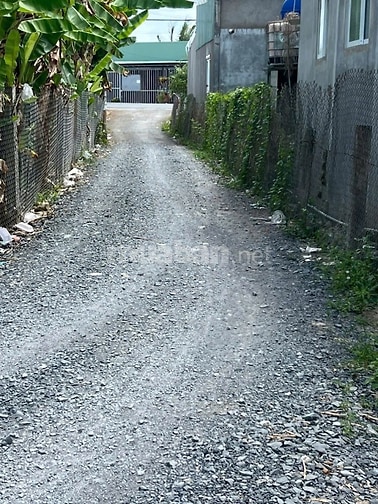 BÁN GẤP 2.255m2 ĐẤT Ở 100% - CÁCH NHỰA 25M - XÃ MỸ AN, TÂY NINH 
