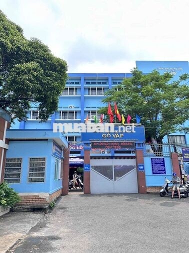 🔥 LÔ ĐẤT 2 MẶT TIỀN HẺM – 300M² – NGUYỄN THÁI SƠN, GÒ VẤP
