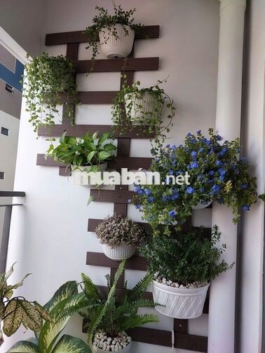 CHO THUÊ CĂN HỘ 2PN GIÁ 8TR FULL NỘI THẤT
