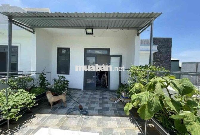 Nhà lầu Tân Triều, cách cầu bạch đằng 1km, cách Tân Uyên 7km
