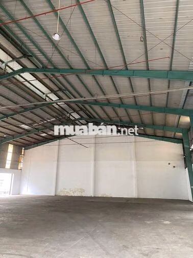 Cho thuê kho 800m² KCN Tân Tạo Bình Tân – Khuôn viên 5.000m² 