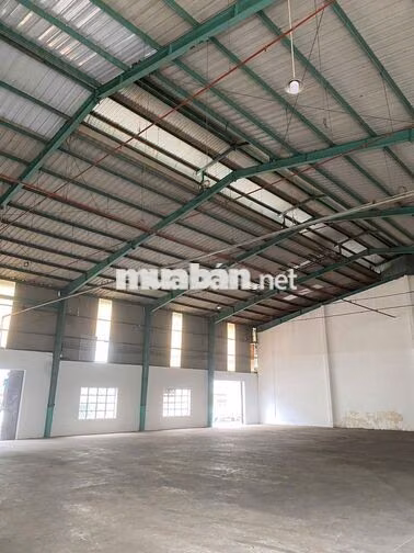 Cho thuê kho 800m² KCN Tân Tạo Bình Tân – Khuôn viên 5.000m² 